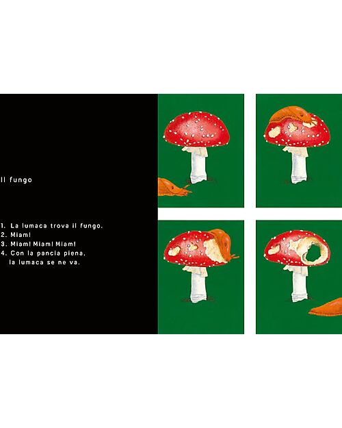 L'ippocampo Ragazzi In 4 Times - Illustrtaed Edition - Bernadette Gervais Books