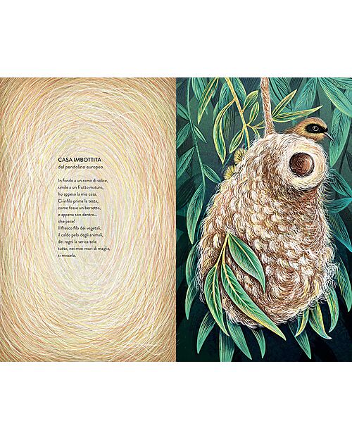 L'ippocampo Ragazzi Libro Illustrato - Casa - Isabelle Simler Books