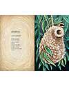 L'ippocampo Ragazzi Libro Illustrato - Casa - Isabelle Simler Books