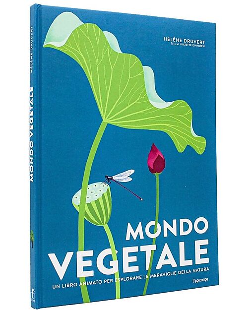 L'ippocampo Ragazzi Mondo Vegetale - Un libro Animato per Esplorare le Meraviglie della Natura - Hélène Druvert Books