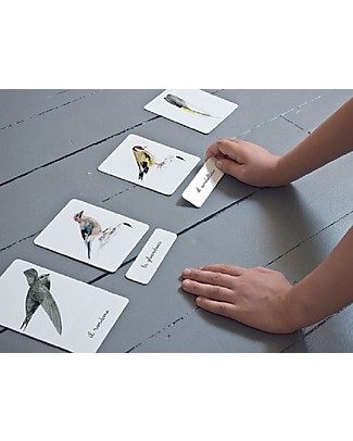 L'ippocampo Ragazzi My Montessori Box of Birds - Booklet + Cards + Bird Songs App Montessori Activity