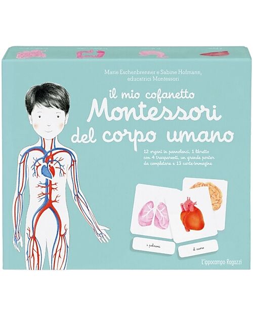 L'ippocampo Ragazzi My Montessori box of the Human Body - Sabine Hofmann & Marie Eschenbrenner Montessori Toys