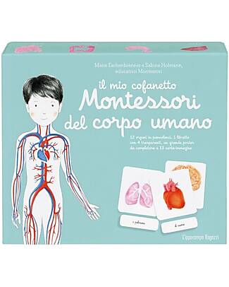 L'ippocampo Ragazzi My Montessori box of the Human Body - Sabine Hofmann & Marie Eschenbrenner Montessori Toys