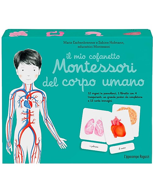 L'ippocampo Ragazzi My Montessori box of the Human Body - Sabine Hofmann & Marie Eschenbrenner Montessori Toys