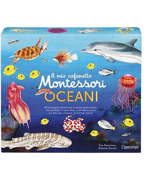 L'ippocampo Ragazzi My Montessori Box of the Ocean - Eve Hermann e Roberta Rocchi Books