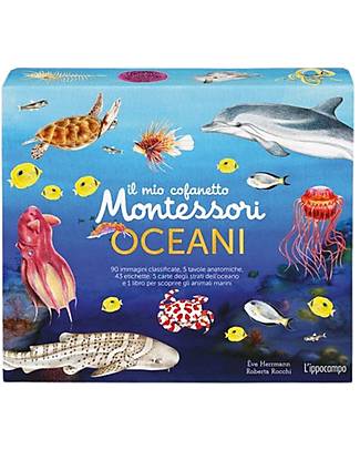 L'ippocampo Ragazzi My Montessori Box of the Ocean - Eve Hermann e Roberta Rocchi Books
