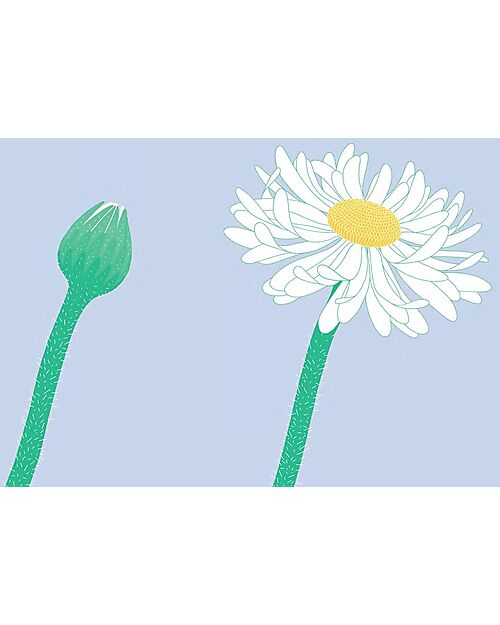 L'ippocampo Ragazzi Prima Dopo - Anne-Margot Ramstein & Matthias Aregui Books