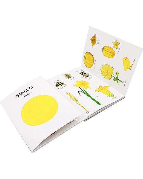 L'ippocampo Ragazzi Red As... - Illustrtaed Edition - Pascale Estellon Books