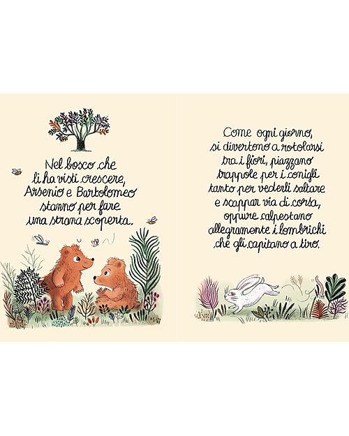 L'ippocampo Ragazzi The Tiny Little House - Color Edition - Michael Escoffier and Clotilde Perrin Books