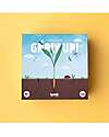 Londji Game Set - Grow Up - Take Care of your Garden Board Games