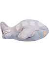 Lorena Canals Ride & Roll Airplane Set - Plane + Track - Grey/Light Blue/Green - 4 Meter Long Track Playmats