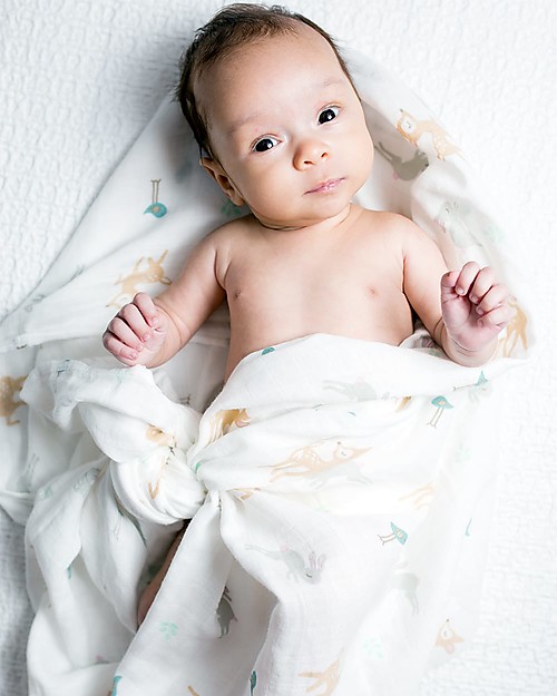 Lulujo Baby Copertina Swaddle 120 x 120 cm, Little Fawn - 100% mussola di cotone Muslin Swaddle