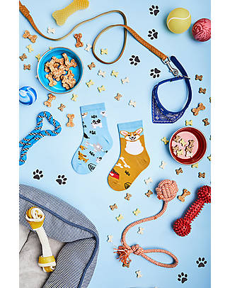 Many Mornings Kids Socks - Playful Dog - Cotton Socks