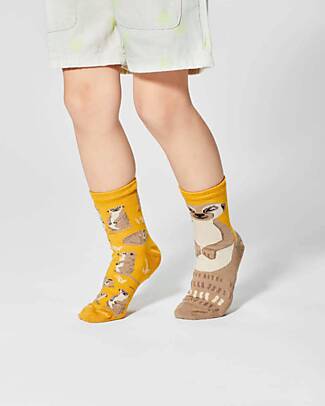 Many Mornings Kids Socks - The Meerkat - Cotton Socks