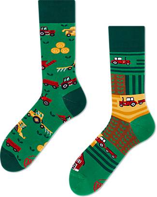 Many Mornings Regular Socks - Happy Harvest - Cotton Socks