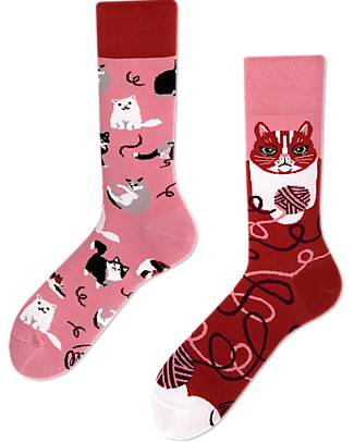 Many Mornings Regular Socks - Playful Cat - Cotton Socks