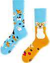 Many Mornings Regular Socks - Playful Dog - Cotton Socks