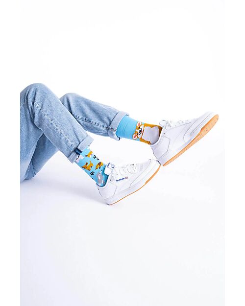 Many Mornings Regular Socks - Playful Dog - Cotton Socks