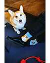 Many Mornings Regular Socks - Playful Dog - Cotton Socks
