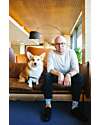 Many Mornings Regular Socks - Playful Dog - Cotton Socks