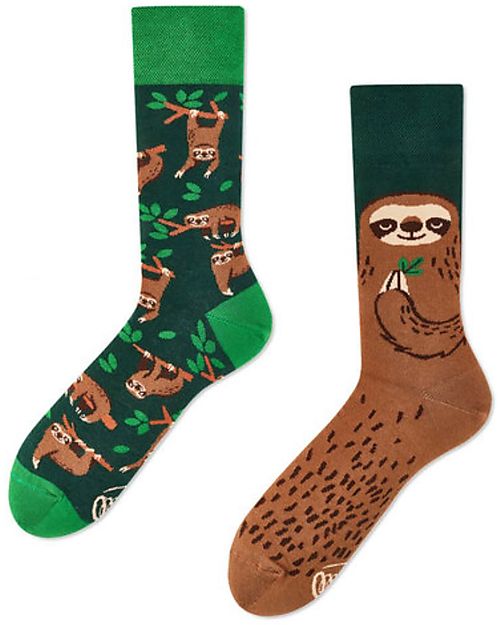 Many Mornings Regular Socks - Sloth Life - Cotton Socks