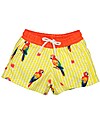 Maria Bianca Boy Swim Shorts, Parrots Swimming Trunks