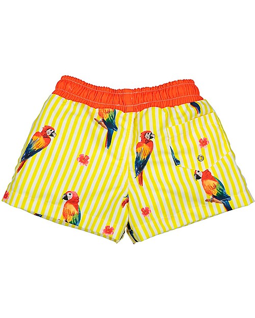 Maria Bianca Boy Swim Shorts, Parrots Swimming Trunks