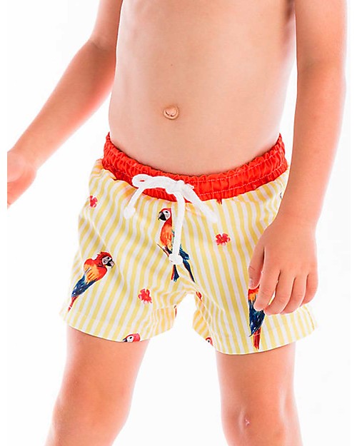 Maria Bianca Boy Swim Shorts, Parrots Swimming Trunks