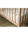 Micuna Meri Cot 120x60cm - Bronze - FSC Beech Wood Cots and Cotbeds
