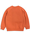 Mini Rodini Donkey and Cactus Sweater, Orange - 100% organic cotton Sweatshirts
