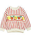Mini Rodini Sweatshirt - Multi Fruits Border Stripe - 100% Organic Cotton GOTS
​ Sweatshirts