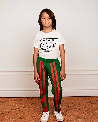 Mini Rodini T-Shirt - Kilimanjaro - Organic Cotton T-shirts