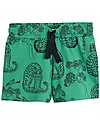 Mini Rodini Tiger Shorts - Green - 100% organic cotton Shorts