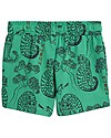 Mini Rodini Tiger Shorts - Green - 100% organic cotton Shorts