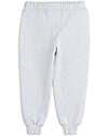 Mini Rodini Tracksuit Pants - Parrot Embroidery - Gray - 100% Organic Cotton GOTS Trousers