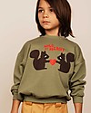 Mini Rodini Wild at Heart Sweatshirt - Squirrels - Green - 100% Organic Cotton Sweatshirts
