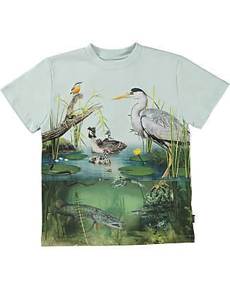 Molo Short Sleeves T-Shirt - Pond Life - 100% Organic Cotton GOTS T-shirts
