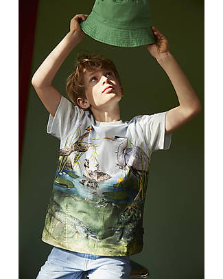 Molo Short Sleeves T-Shirt - Pond Life - 100% Organic Cotton GOTS T-shirts