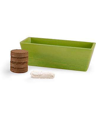Moulin Roty Basil Growing Kit - The Mill Garden - Organic Agriculture Gardening Toys