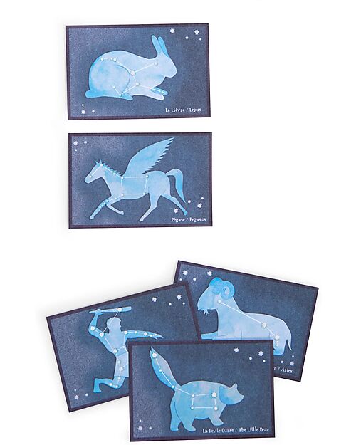 Moulin Roty Space Discovery Box - Le Jardin du Moulin - Italian / English - 75 Accessories STEM toys