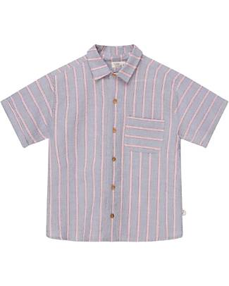 My Little Cozmo Short Sleeved Shirt - Stripes - Better Culture Initiative Certified - 100% Organic Cotton T-shirts