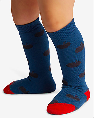 Nadadelazos Baby Socks - Mini Pumpkins - Elasticated Cotton Socks