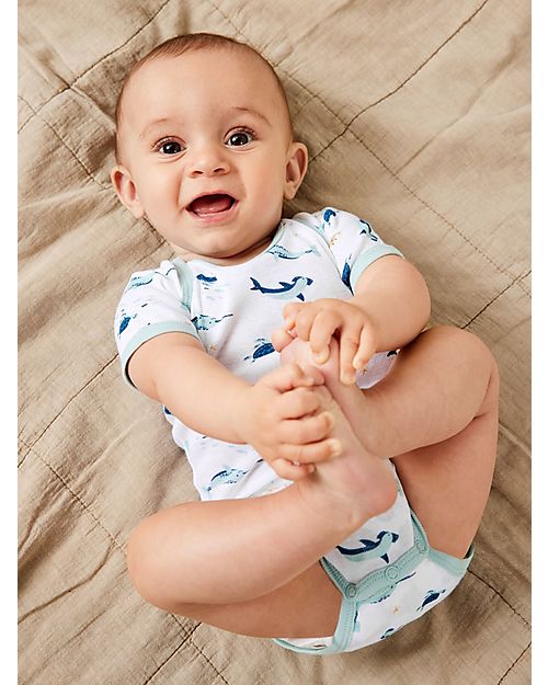 Name it 7 Pack Bodysuit - Short Sleeve - Blue Haze - Organic Cotton Short Sleeves Bodies