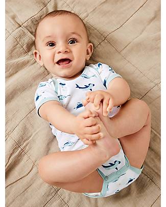 Name it 7 Pack Bodysuit - Short Sleeve - Blue Haze - Organic Cotton Short Sleeves Bodies