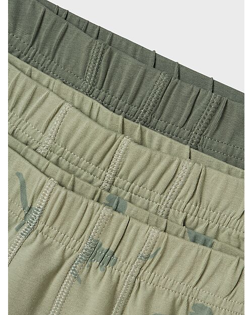 Name it Boxer 3 Packs - Agave Green - Dino - Organic Cotton Briefs