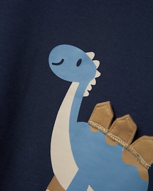 Name it Dinosaur Sweatshirt - Blue - Organic Cotton Sweatshirts