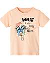 Name it Ice Cream T-Shirt - Peach Nectar - 100% Cotton T-shirts