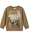 Name it Jurassic Sweatshirt - Beige - Organic Cotton Sweatshirts