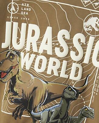 Name it Jurassic Sweatshirt - Beige - Organic Cotton Sweatshirts