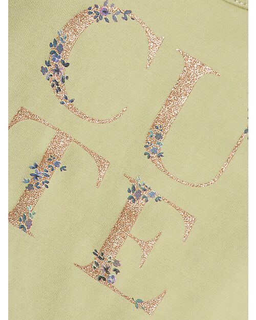 Name it Long Sleeve Shirt - Cute - Lint - Organic Cotton Long Sleeves Tops